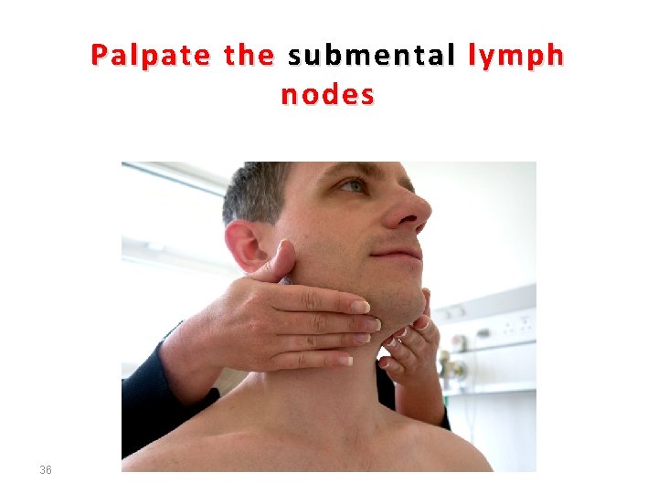 Palpate the submental lymph nodes 36 