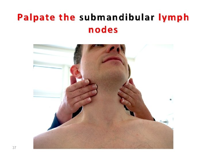 Palpate the submandibular lymph nodes 37 