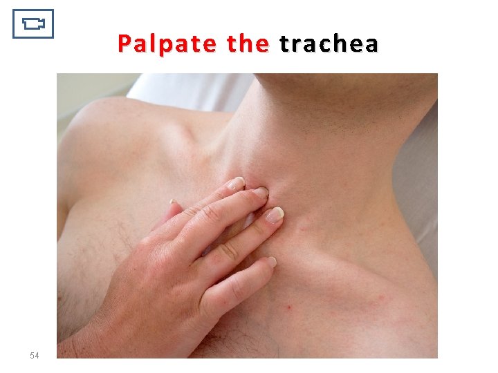 Palpate the trachea 54 