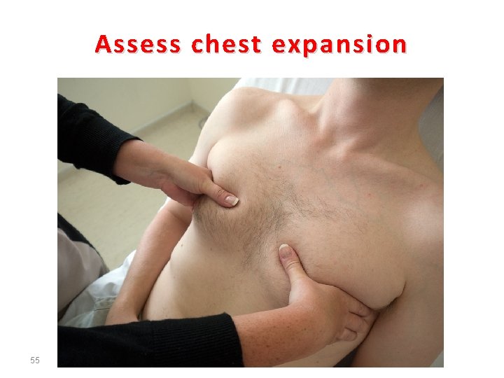 Assess chest expansion 55 