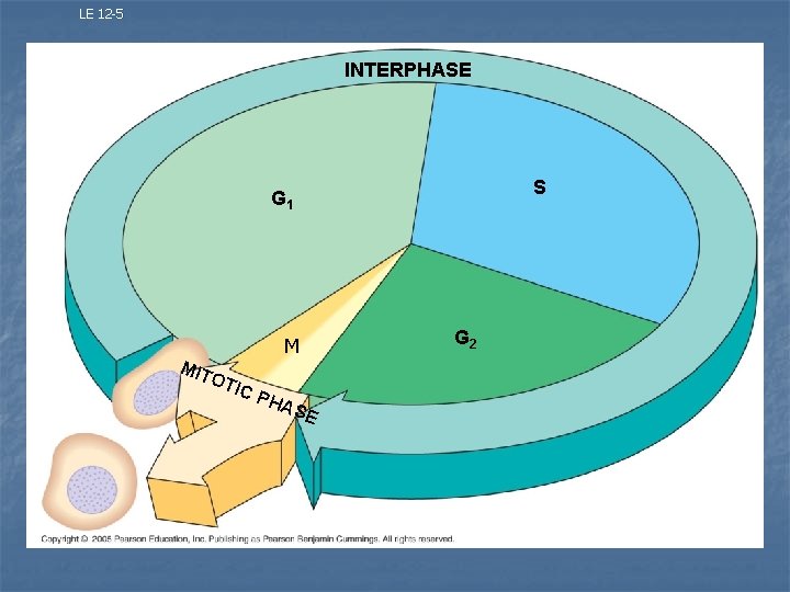 LE 12 -5 INTERPHASE S G 1 MIT M OTI CP HA SE G