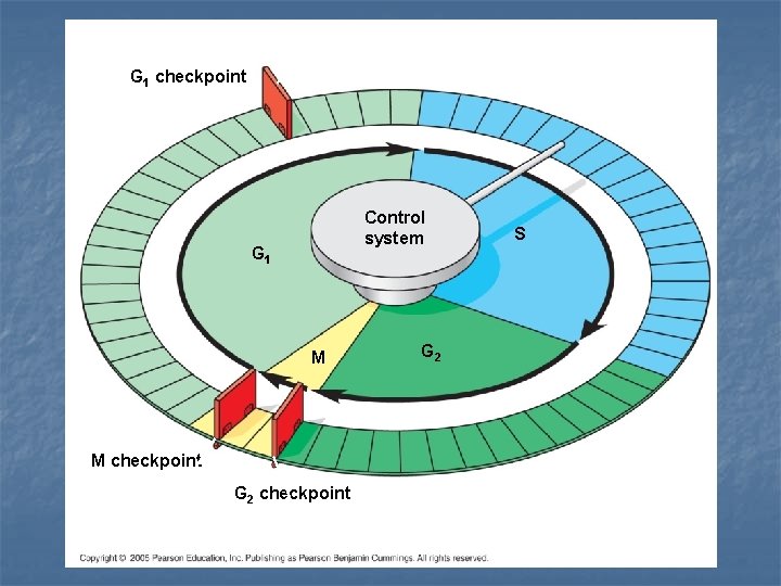 G 1 checkpoint Control system G 1 M M checkpoint G 2 S 