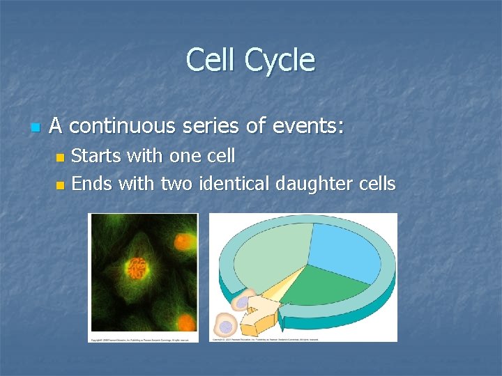 Cell Cycle n A continuous series of events: Starts with one cell n Ends