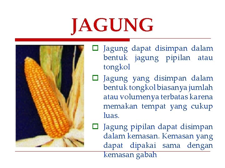 JAGUNG o Jagung dapat disimpan dalam bentuk jagung pipilan atau tongkol o Jagung yang