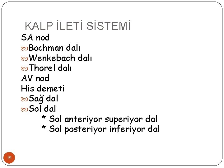 KALP İLETİ SİSTEMİ SA nod Bachman dalı Wenkebach dalı Thorel dalı AV nod His