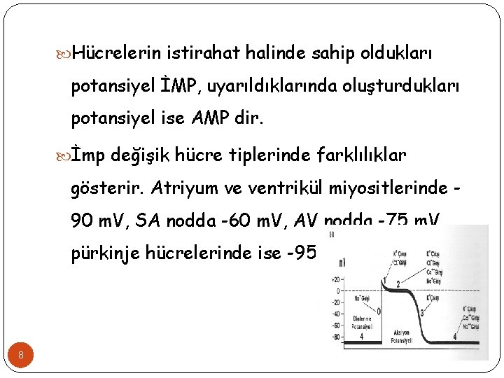  Hücrelerin istirahat halinde sahip oldukları potansiyel İMP, uyarıldıklarında oluşturdukları potansiyel ise AMP dir.