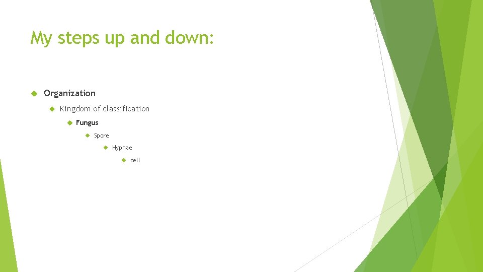 My steps up and down: Organization Kingdom of classification Fungus Spore Hyphae cell 