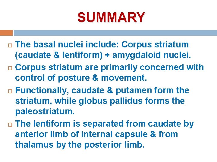 SUMMARY The basal nuclei include: Corpus striatum (caudate & lentiform) + amygdaloid nuclei. Corpus