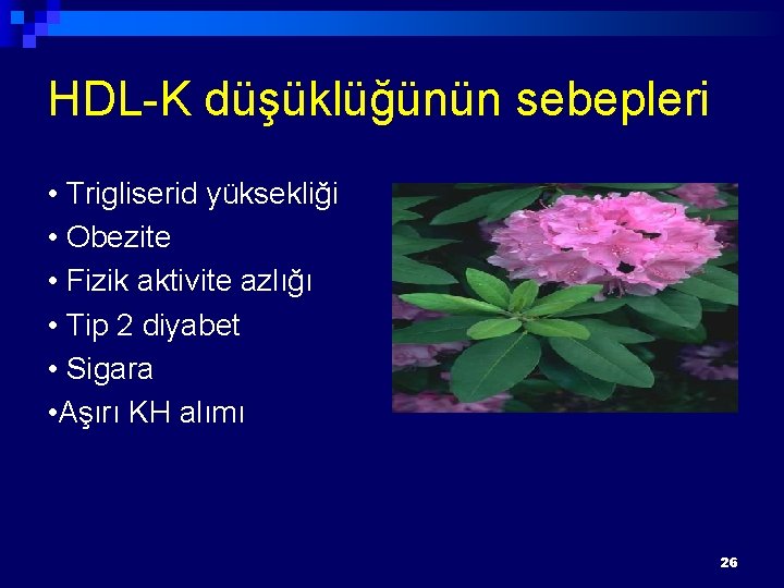 HDL-K düşüklüğünün sebepleri • Trigliserid yüksekliği • Obezite • Fizik aktivite azlığı • Tip