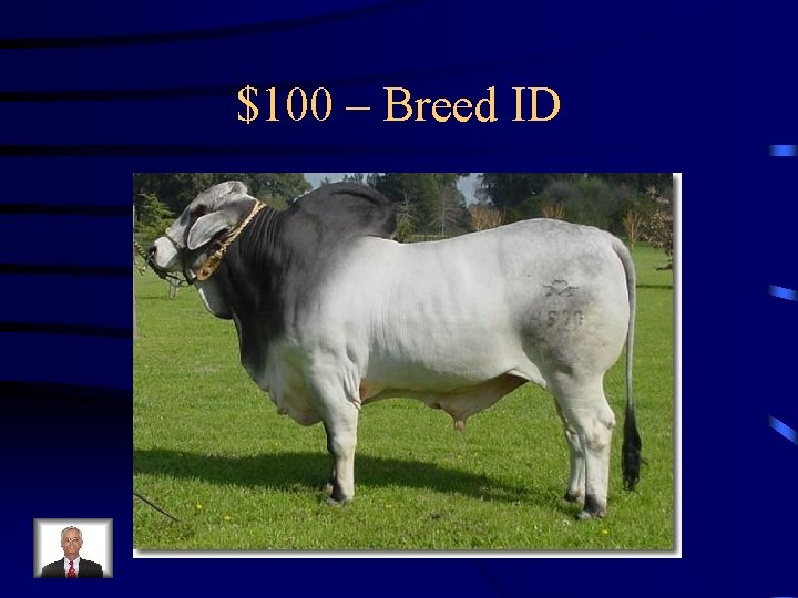 $100 – Breed ID 