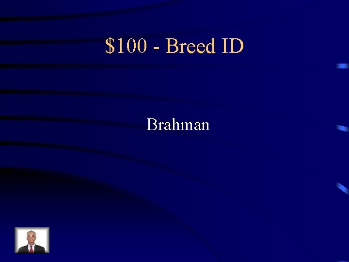 $100 - Breed ID Brahman 