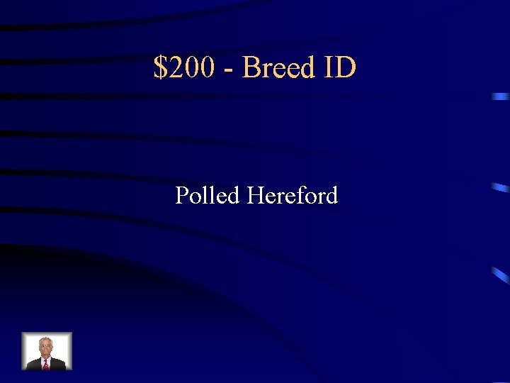 $200 - Breed ID Polled Hereford 