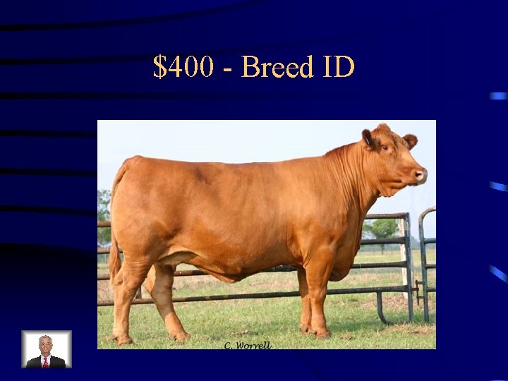 $400 - Breed ID 