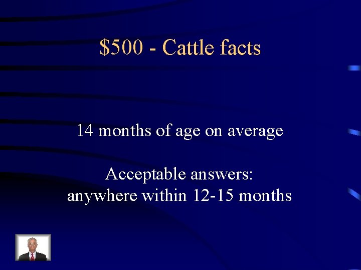 $500 - Cattle facts 14 months of age on average Acceptable answers: anywhere within