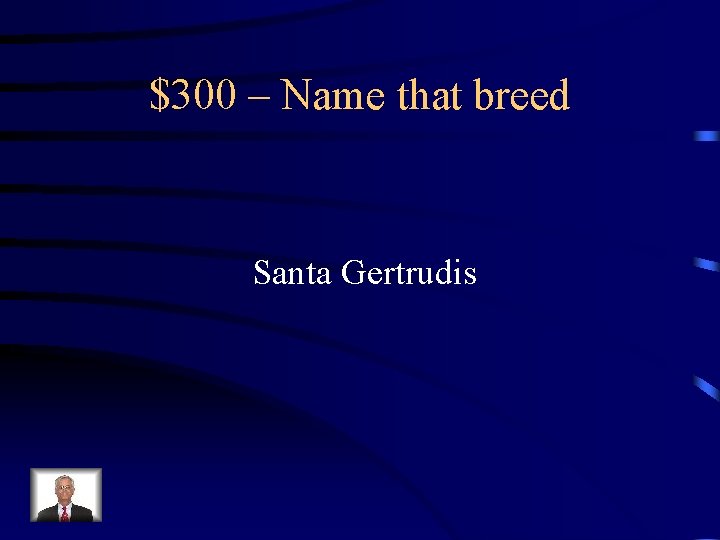 $300 – Name that breed Santa Gertrudis 