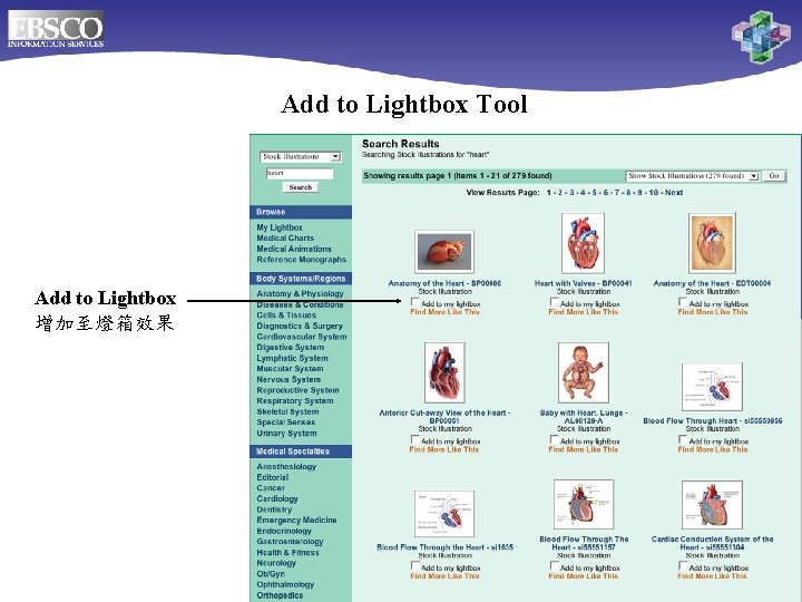Add to Lightbox Tool Add to Lightbox 增加至燈箱效果 Online Databases for Biomedical Libraries 