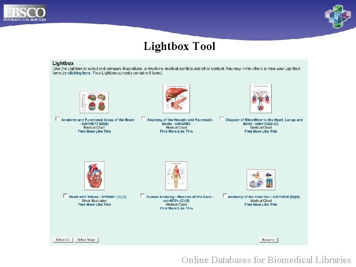 Lightbox Tool Online Databases for Biomedical Libraries 