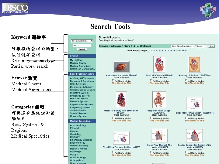 Search Tools Keyword 關鍵字 可根據所查詢的類型， 依關鍵字查詢 Refine by content type Partial word search Browse