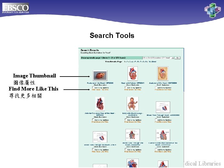 Search Tools Image Thumbnail 圖像屬性 Find More Like This 尋找更多相關 Online Databases for Biomedical