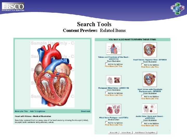 Search Tools Content Preview: Related Items Online Databases for Biomedical Libraries 