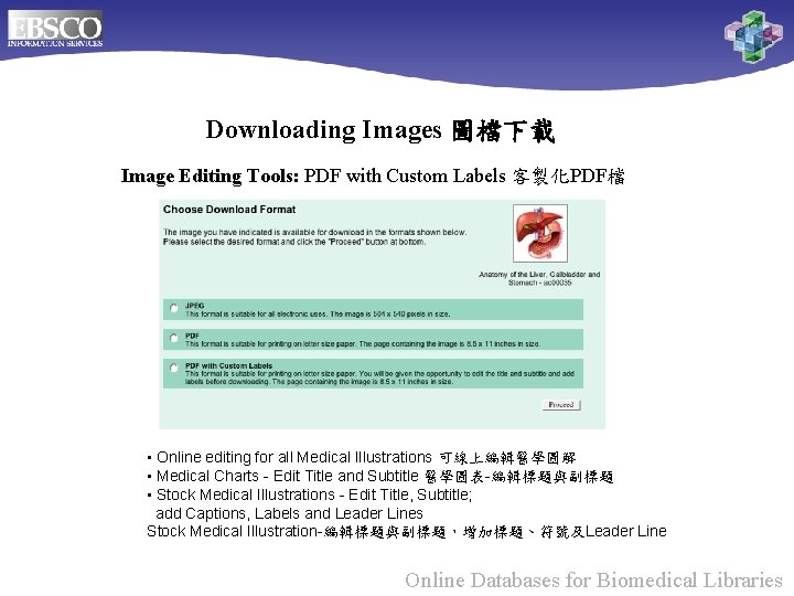Downloading Images 圖檔下載 Image Editing Tools: PDF with Custom Labels 客製化PDF檔 • Online editing