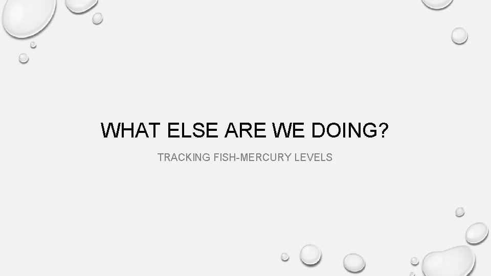 WHAT ELSE ARE WE DOING? TRACKING FISH-MERCURY LEVELS 