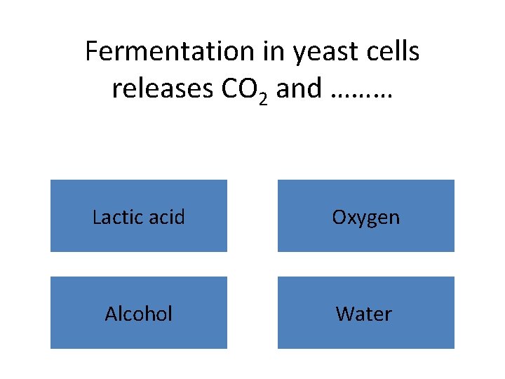 Fermentation in yeast cells releases CO 2 and ……… Lactic acid Oxygen Alcohol Water