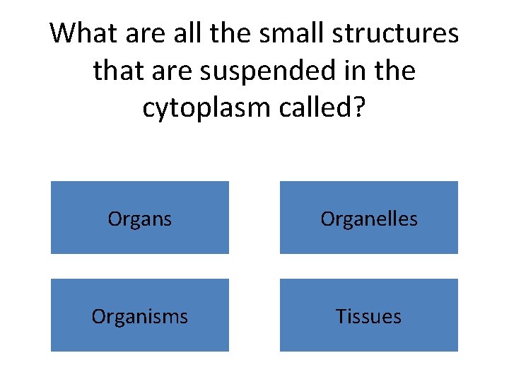 What are all the small structures that are suspended in the cytoplasm called? Organs