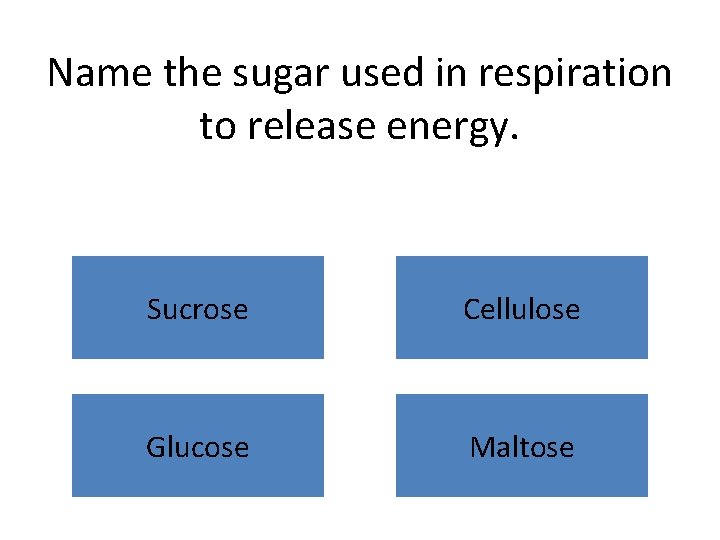 Name the sugar used in respiration to release energy. Sucrose Cellulose Glucose Maltose 