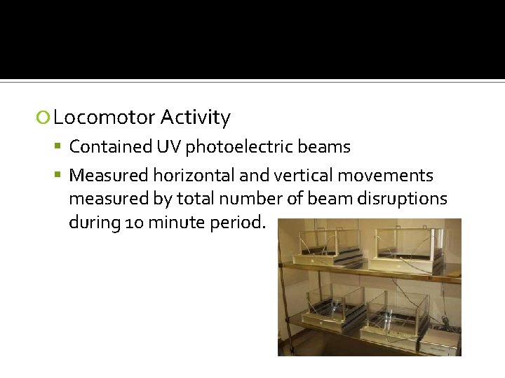  Locomotor Activity Contained UV photoelectric beams Measured horizontal and vertical movements measured by