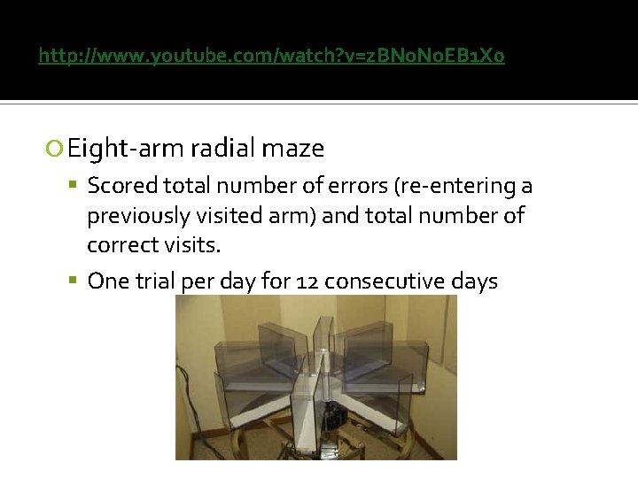 http: //www. youtube. com/watch? v=z. BNo. EB 1 X 0 Eight-arm radial maze Scored