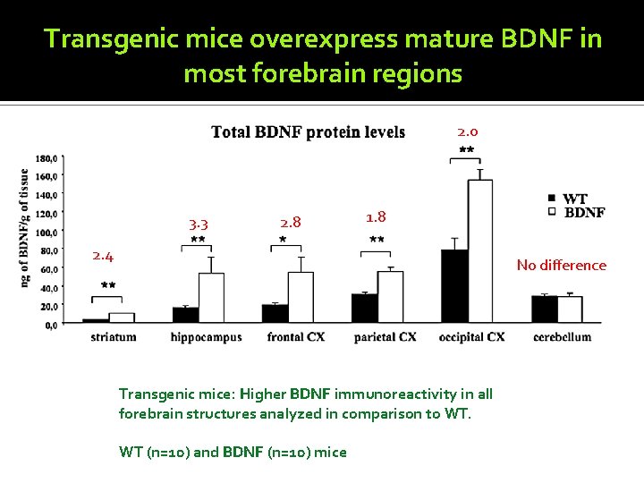 Transgenic mice overexpress mature BDNF in most forebrain regions 2. 0 3. 3 2.