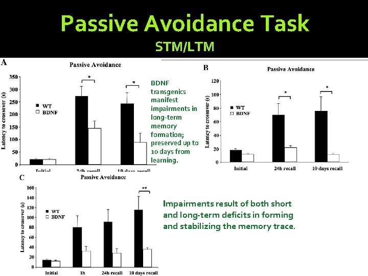 Passive Avoidance Task STM/LTM BDNF transgenics manifest impairments in long-term memory formation; preserved up