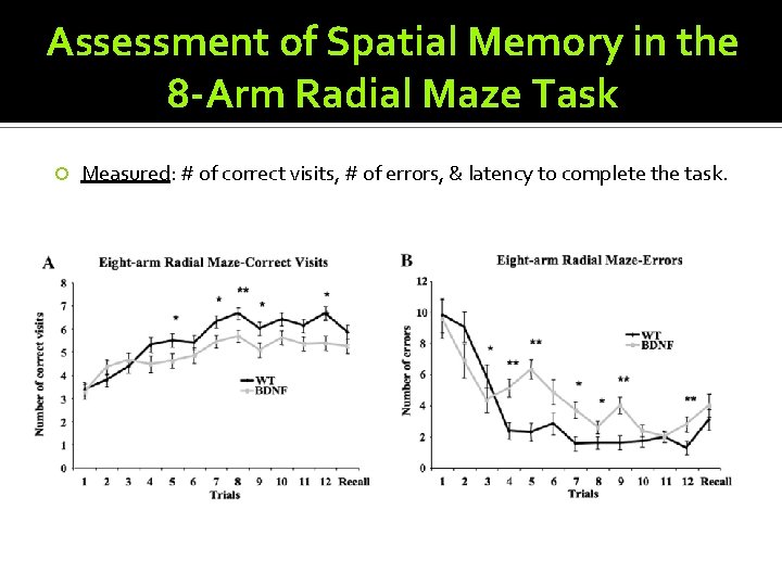 Assessment of Spatial Memory in the 8 -Arm Radial Maze Task Measured: # of