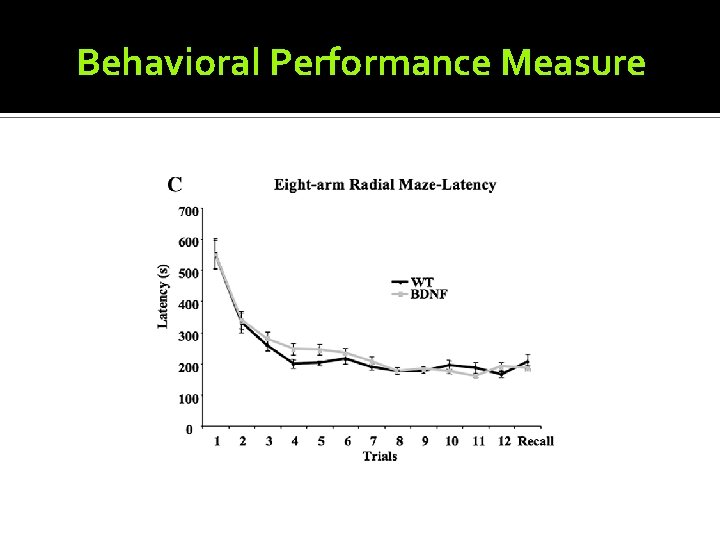 Behavioral Performance Measure 