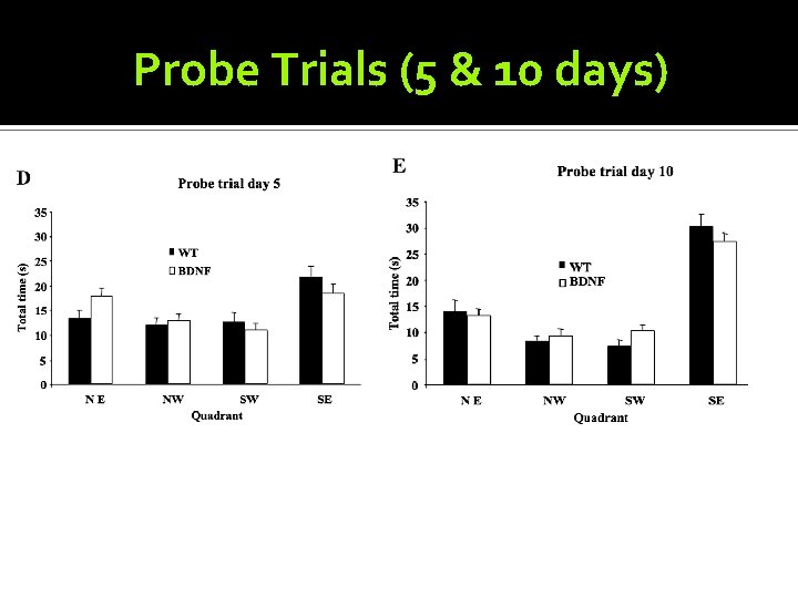 Probe Trials (5 & 10 days) 