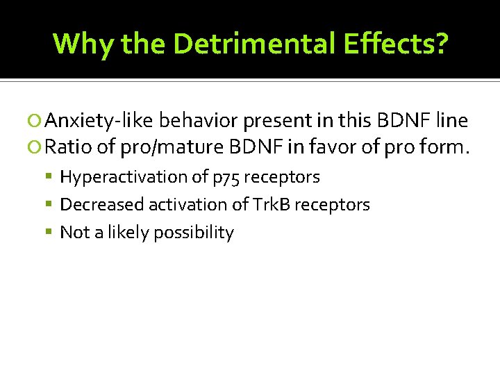 Why the Detrimental Effects? Anxiety-like behavior present in this BDNF line Ratio of pro/mature