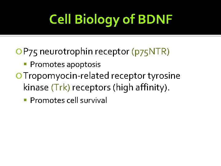 Cell Biology of BDNF P 75 neurotrophin receptor (p 75 NTR) Promotes apoptosis Tropomyocin-related