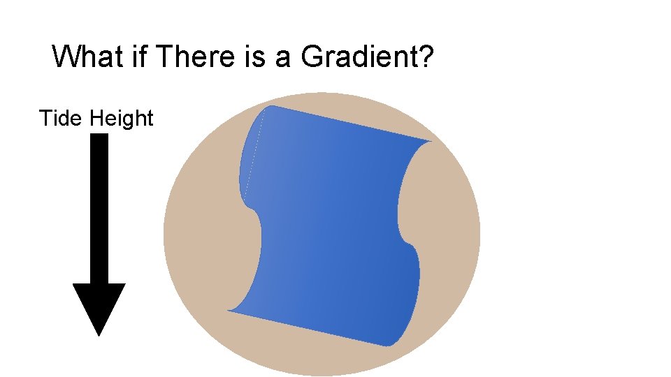 What if There is a Gradient? Tide Height 