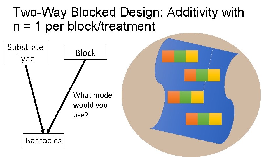 Two-Way Blocked Design: Additivity with n = 1 per block/treatment Substrate Type Block What