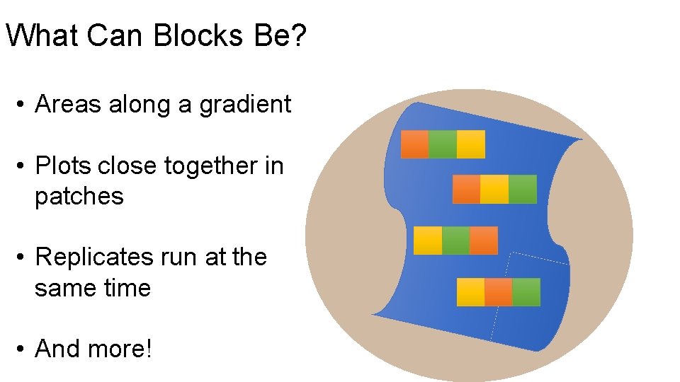 What Can Blocks Be? • Areas along a gradient • Plots close together in