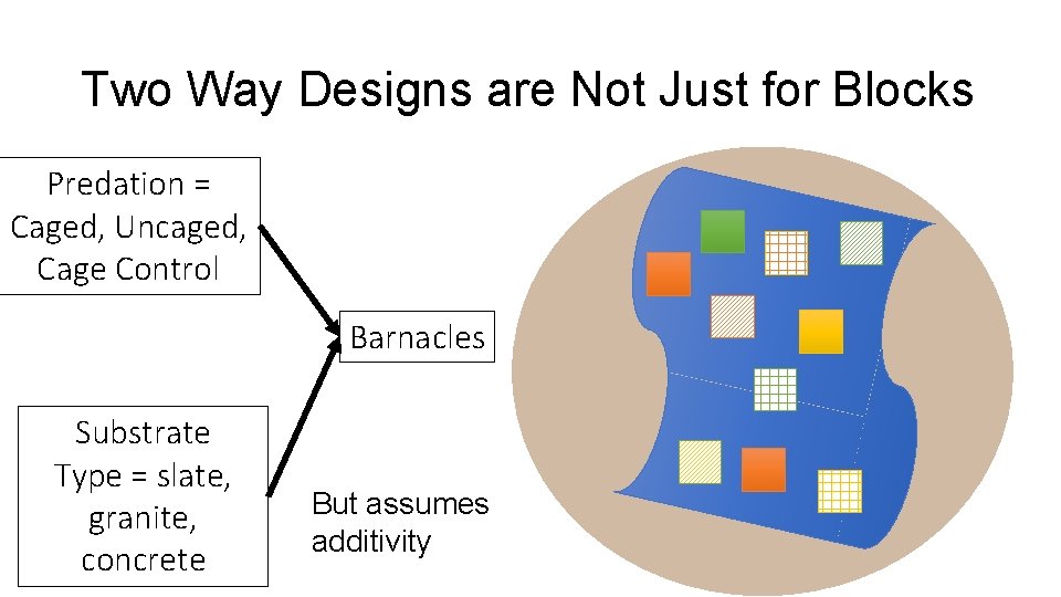 Two Way Designs are Not Just for Blocks Predation = Caged, Uncaged, Cage Control