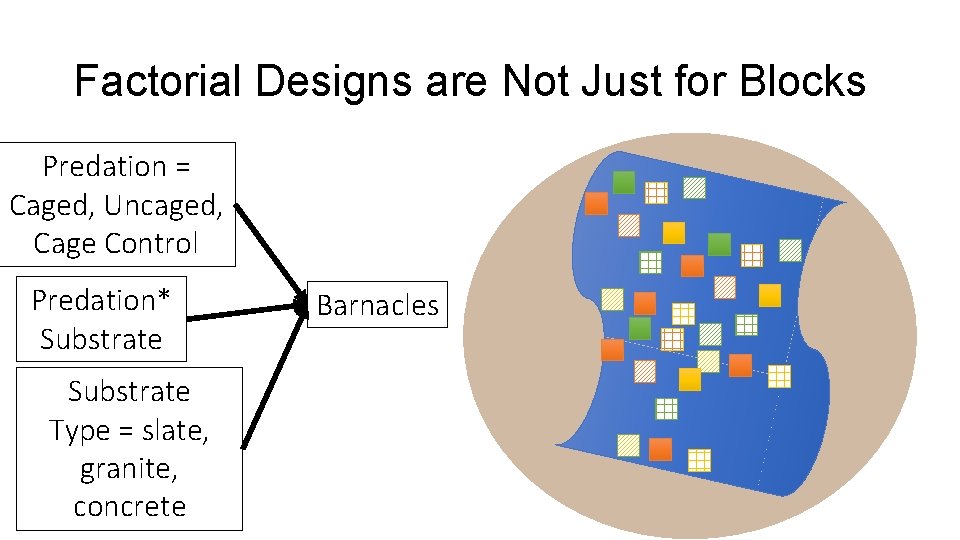 Factorial Designs are Not Just for Blocks Predation = Caged, Uncaged, Cage Control Predation*