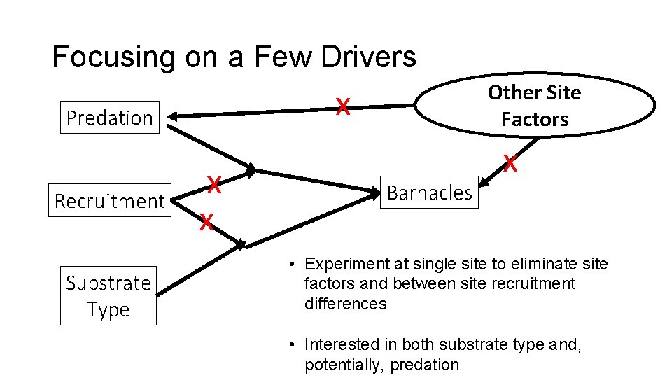 Focusing on a Few Drivers x Predation Recruitment Substrate Type Other Site Factors x