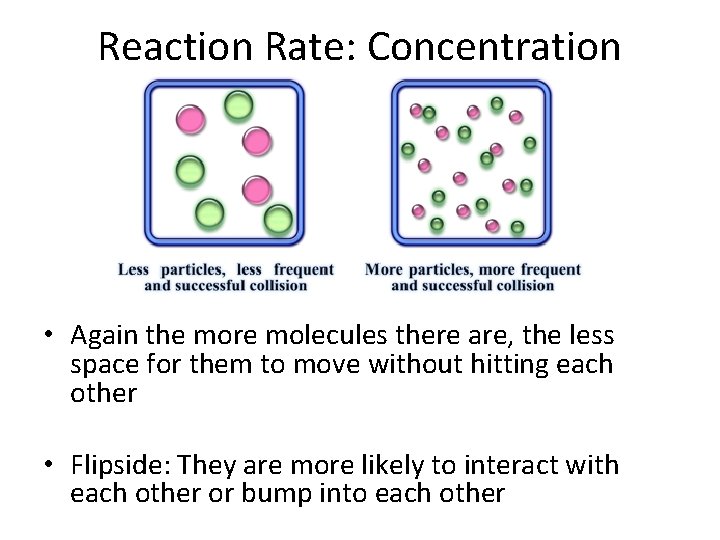 Reaction Rate: Concentration • Again the more molecules there are, the less space for