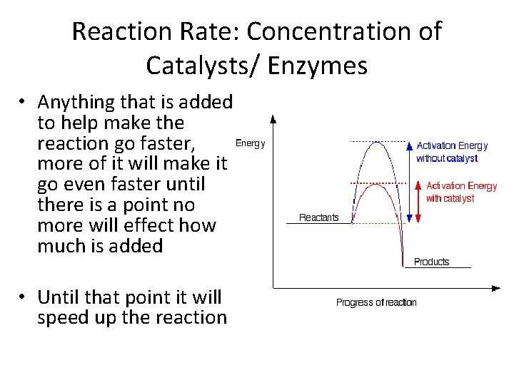 Reaction Rate: Concentration of Catalysts/ Enzymes • Anything that is added to help make