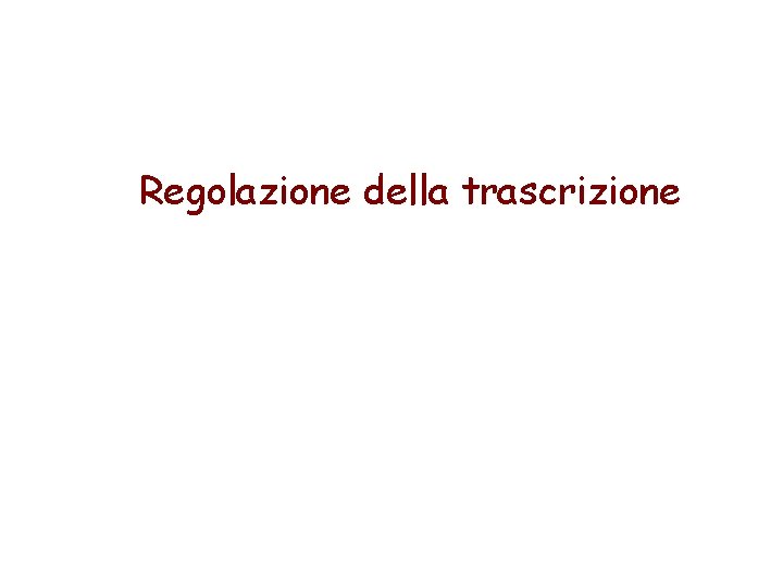 Regolazione della trascrizione 