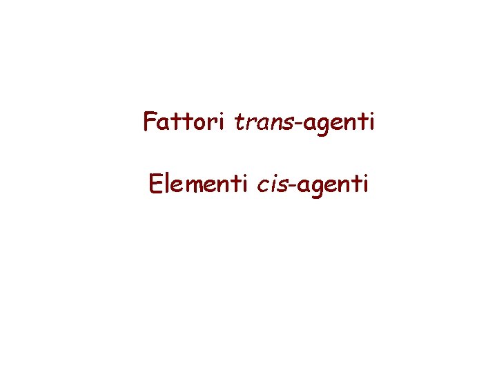 Fattori trans-agenti Elementi cis-agenti 