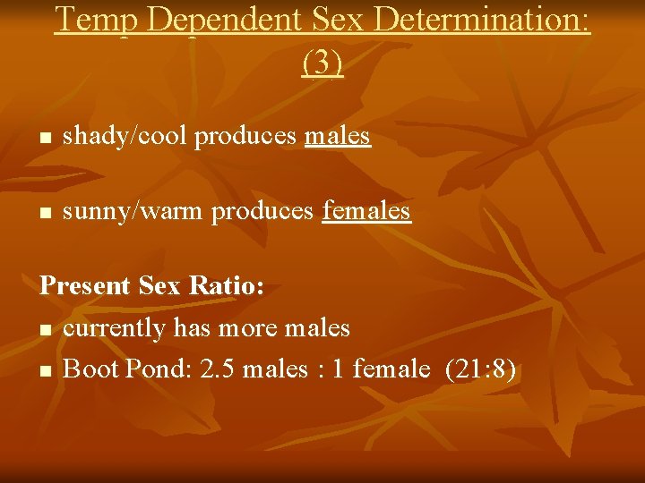 Temp Dependent Sex Determination: (3) n shady/cool produces males n sunny/warm produces females Present