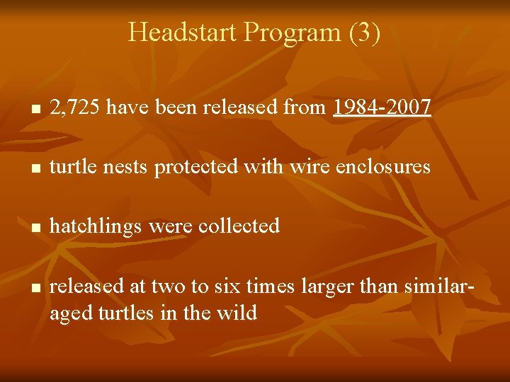 Headstart Program (3) n 2, 725 have been released from 1984 -2007 n turtle